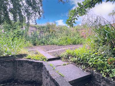 Picture 16
